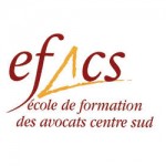 logotype-efacs-150x150